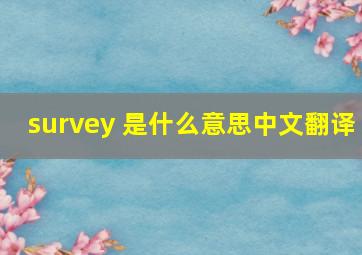 survey 是什么意思中文翻译